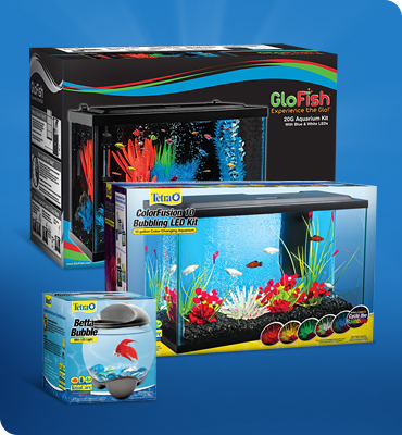 Tetra fish supplies hotsell